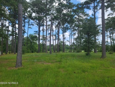 Beautiful .40/acre home site that sits up high and dry from the on Ocean Ridge Plantation in North Carolina - for sale on GolfHomes.com, golf home, golf lot