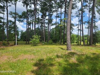 Beautiful .40/acre home site that sits up high and dry from the on Ocean Ridge Plantation in North Carolina - for sale on GolfHomes.com, golf home, golf lot