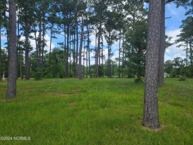 Beautiful .40/acre home site that sits up high and dry from the on Ocean Ridge Plantation in North Carolina - for sale on GolfHomes.com, golf home, golf lot