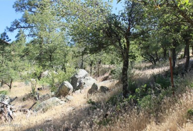 INCREDIBLY RARE, PRIVATE GOLF COURSE LOT on 17TH TEE, with only on Capital Canyon Club in Arizona - for sale on GolfHomes.com, golf home, golf lot