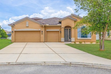 Imagine Waking Up Each Day In A Place That Offers Not Just A on Slammer and Squire Golf Course in Florida - for sale on GolfHomes.com, golf home, golf lot