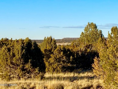 Beautiful, heavily treed lot in White Mountain Lakes with water on Silver Creek Golf Club in Arizona - for sale on GolfHomes.com, golf home, golf lot