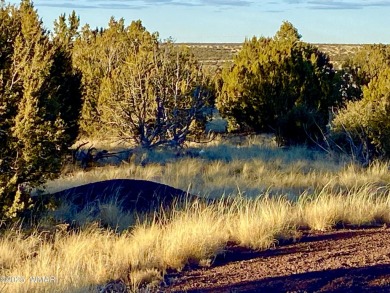 Beautiful, heavily treed lot in White Mountain Lakes with water on Silver Creek Golf Club in Arizona - for sale on GolfHomes.com, golf home, golf lot