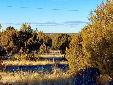 Beautiful, heavily treed lot in White Mountain Lakes with water on Silver Creek Golf Club in Arizona - for sale on GolfHomes.com, golf home, golf lot