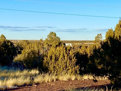 Beautiful, heavily treed lot in White Mountain Lakes with water on Silver Creek Golf Club in Arizona - for sale on GolfHomes.com, golf home, golf lot