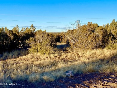 Beautiful, heavily treed lot in White Mountain Lakes with water on Silver Creek Golf Club in Arizona - for sale on GolfHomes.com, golf home, golf lot