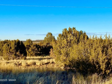 Beautiful, heavily treed lot in White Mountain Lakes with water on Silver Creek Golf Club in Arizona - for sale on GolfHomes.com, golf home, golf lot