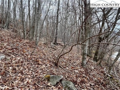 Beautiful sloping vacant lot located in the sought after on Beech Mountain Club in North Carolina - for sale on GolfHomes.com, golf home, golf lot