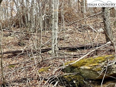 Beautiful sloping vacant lot located in the sought after on Beech Mountain Club in North Carolina - for sale on GolfHomes.com, golf home, golf lot