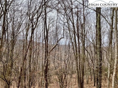 Beautiful sloping vacant lot located in the sought after on Beech Mountain Club in North Carolina - for sale on GolfHomes.com, golf home, golf lot