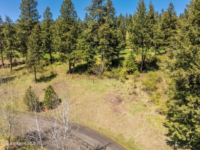 12th Fairway Black Rock lot with nice Lake CDA Views! Fabulous on The Golf Club at Black Rock in Idaho - for sale on GolfHomes.com, golf home, golf lot