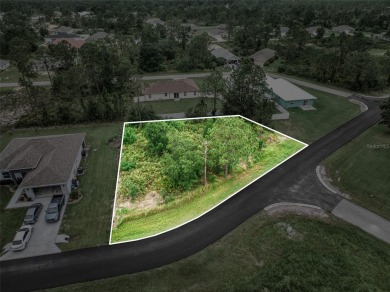 Build your dream home in the desirable Sun 'N Lake community of on Sun n Lake Golf and Country Club in Florida - for sale on GolfHomes.com, golf home, golf lot
