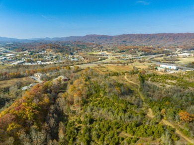 This multi-use property, conveniently located just off on Cattails At Meadow View Golf Club in Tennessee - for sale on GolfHomes.com, golf home, golf lot