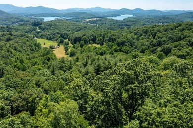 You CANNOT MISS this breathtaking lake view lot in beautiful on Mountain Harbour Golf Club in North Carolina - for sale on GolfHomes.com, golf home, golf lot