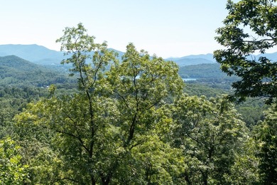 You CANNOT MISS this breathtaking lake view lot in beautiful on Mountain Harbour Golf Club in North Carolina - for sale on GolfHomes.com, golf home, golf lot