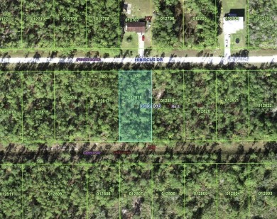 Come build your forever home on this one-half acre lot that is on Indian Lake Estates Golf and Country Club in Florida - for sale on GolfHomes.com, golf home, golf lot