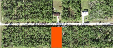 Come build your forever home on this one-half acre lot that is on Indian Lake Estates Golf and Country Club in Florida - for sale on GolfHomes.com, golf home, golf lot