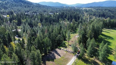 Beautiful Vacant Lot Just 5 Minutes from Downtown Coeur d'Alene! on Coeur D Alene Resort Golf Course in Idaho - for sale on GolfHomes.com, golf home, golf lot
