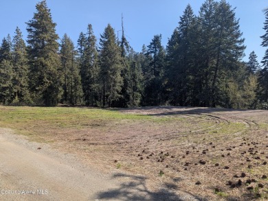 Beautiful Vacant Lot Just 5 Minutes from Downtown Coeur d'Alene! on Coeur D Alene Resort Golf Course in Idaho - for sale on GolfHomes.com, golf home, golf lot