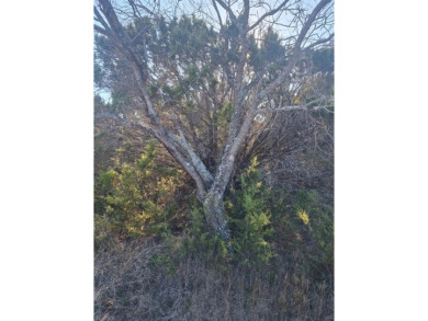 Unimproved Vacant Land Only.  No Missed Opportunities. Build to on White Bluff Resort - New Course in Texas - for sale on GolfHomes.com, golf home, golf lot