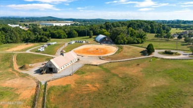 $25k TRANSFERABLE GOLF MEMBERSHIP with a view of the 18th hole's on Rarity Bay Country Club - Loudon in Tennessee - for sale on GolfHomes.com, golf home, golf lot