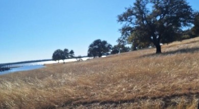 Unimproved Vacant Land Only.  No Missed Opportunities. Build to on White Bluff Resort - New Course in Texas - for sale on GolfHomes.com, golf home, golf lot