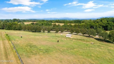 $25k TRANSFERABLE GOLF MEMBERSHIP with a view of the 18th hole's on Rarity Bay Country Club - Loudon in Tennessee - for sale on GolfHomes.com, golf home, golf lot