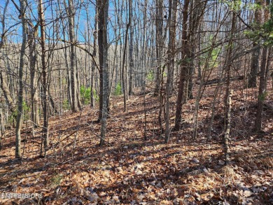 Check out two lots and private living at one of the highest on Heatherhurst Golf Course in Tennessee - for sale on GolfHomes.com, golf home, golf lot