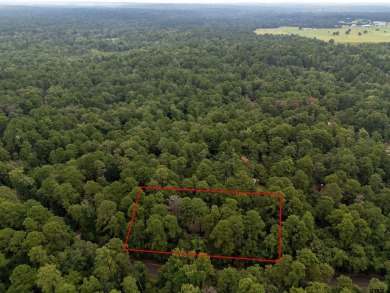 Discover the perfect retreat offering the peace, safety, and on Holly Lake Ranch Golf Club in Texas - for sale on GolfHomes.com, golf home, golf lot