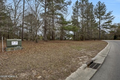 Estate homesite with stunning views from the River Course 18th on River Landing Golf Course in North Carolina - for sale on GolfHomes.com, golf home, golf lot