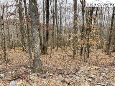 Nice laying lot with a seasonal view. Lots of new construction on Beech Mountain Club in North Carolina - for sale on GolfHomes.com, golf home, golf lot