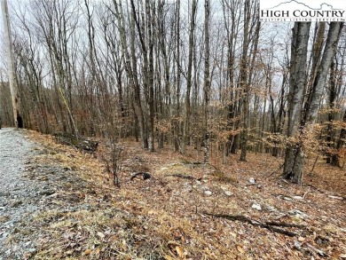 Nice laying lot with a seasonal view. Lots of new construction on Beech Mountain Club in North Carolina - for sale on GolfHomes.com, golf home, golf lot