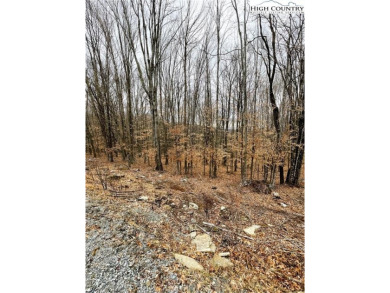 Nice laying lot with a seasonal view. Lots of new construction on Beech Mountain Club in North Carolina - for sale on GolfHomes.com, golf home, golf lot