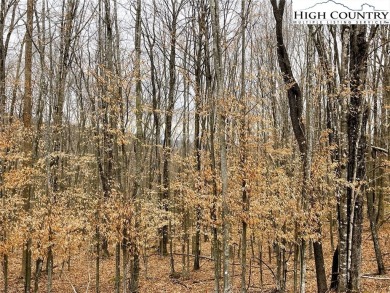 Nice laying lot with a seasonal view. Lots of new construction on Beech Mountain Club in North Carolina - for sale on GolfHomes.com, golf home, golf lot