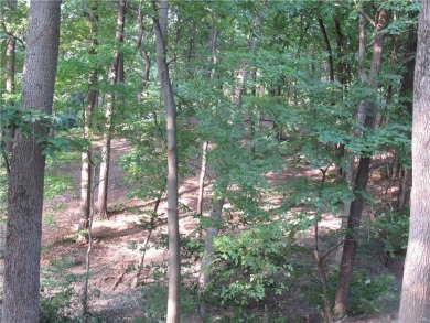 Beautiful, wooded lot with view of the golf course. Located in on Lockhaven Country Club in Illinois - for sale on GolfHomes.com, golf home, golf lot
