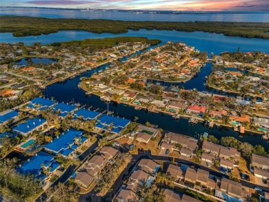 Welcome to this spacious 3 Bedroom, 2 Bath, 1 Car Garage on Mangrove Bay Golf Course in Florida - for sale on GolfHomes.com, golf home, golf lot