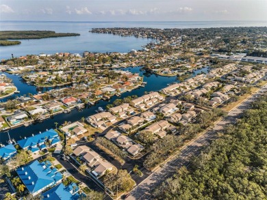 Welcome to this spacious 3 Bedroom, 2 Bath, 1 Car Garage on Mangrove Bay Golf Course in Florida - for sale on GolfHomes.com, golf home, golf lot