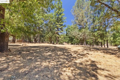 Turnkey Renovated Home in Pine Mountain Lake - Fully Furnished on Pine Mountain Lake Country Club in California - for sale on GolfHomes.com, golf home, golf lot