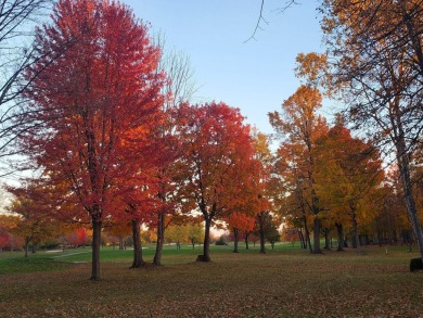 Something Spectacular on the 7th Green!! Come take a closer look on Sugar Springs Country Club in Michigan - for sale on GolfHomes.com, golf home, golf lot