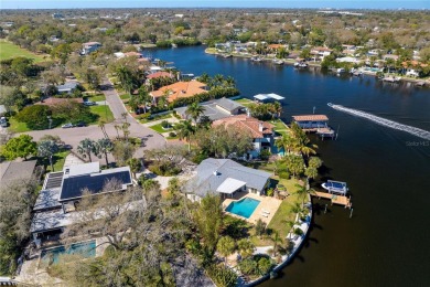 This exceptional waterfront property, located in the prestigious on The Renaisssance Vinoy Golf Club in Florida - for sale on GolfHomes.com, golf home, golf lot