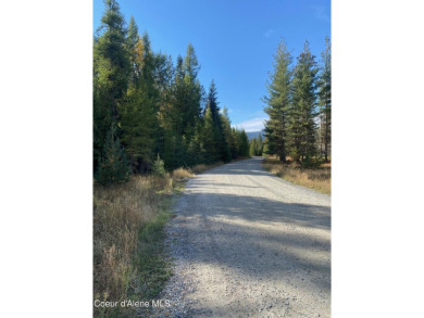 Beautifully parked out wooded level 5 acre parcel in Wilderness on Mirror Lake Golf Course in Idaho - for sale on GolfHomes.com, golf home, golf lot