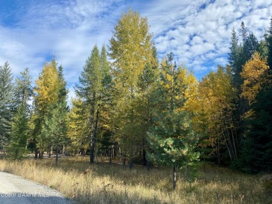 Beautifully parked out wooded level 5 acre parcel in Wilderness on Mirror Lake Golf Course in Idaho - for sale on GolfHomes.com, golf home, golf lot