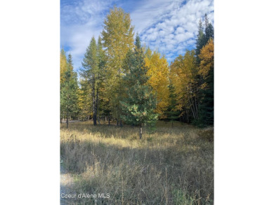 Beautifully parked out wooded level 5 acre parcel in Wilderness on Mirror Lake Golf Course in Idaho - for sale on GolfHomes.com, golf home, golf lot