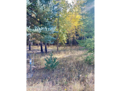 Beautifully parked out wooded level 5 acre parcel in Wilderness on Mirror Lake Golf Course in Idaho - for sale on GolfHomes.com, golf home, golf lot