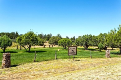 **UNDER CONSTRUCTION - Estimated completion Spring 2025** on Talking Rock Golf Club in Arizona - for sale on GolfHomes.com, golf home, golf lot