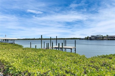 Price Improvement from motivated sellers! | No HOA or CDD Fees | on Apollo Beach Golf and Sea Club in Florida - for sale on GolfHomes.com, golf home, golf lot