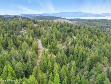 Looking for the perfect lot to build your dream home on? Enjoy on The Idaho Club in Idaho - for sale on GolfHomes.com, golf home, golf lot
