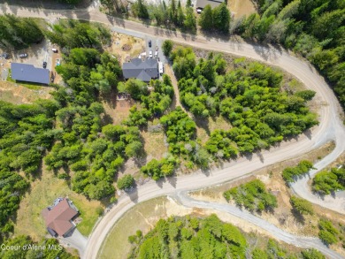 Looking for the perfect lot to build your dream home on? Enjoy on The Idaho Club in Idaho - for sale on GolfHomes.com, golf home, golf lot