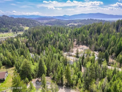 Looking for the perfect lot to build your dream home on? Enjoy on The Idaho Club in Idaho - for sale on GolfHomes.com, golf home, golf lot