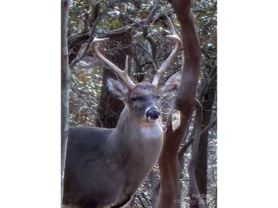 Welcome to High Vista, a secure, private, gated golf community on High Vista Country Club in North Carolina - for sale on GolfHomes.com, golf home, golf lot